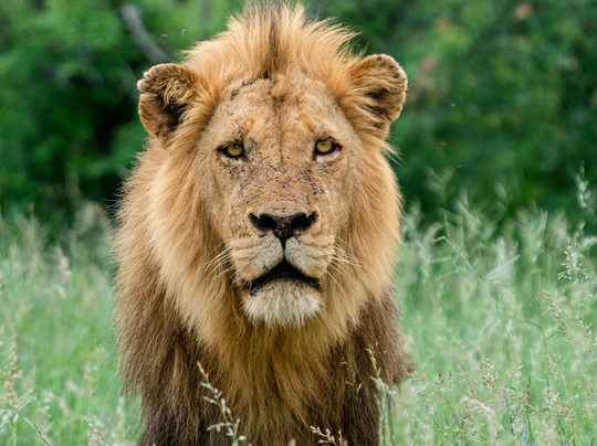 EverseenAfrica-霍德斯普鲁特必去景点