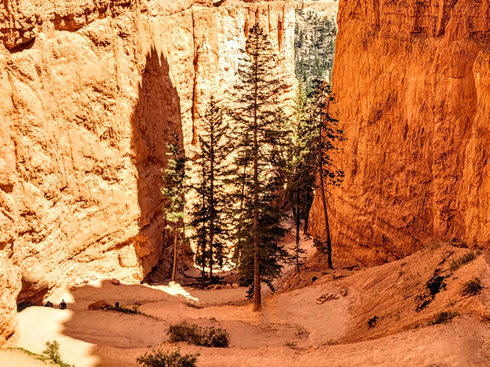 女王花园／纳瓦霍环圈-布莱斯峡谷国家公园必去景点