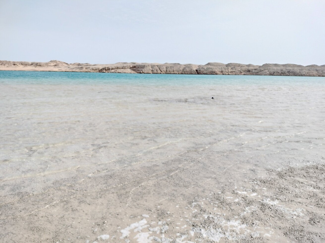 Sheikh Coast Diving Center-沙姆沙伊赫必去景点