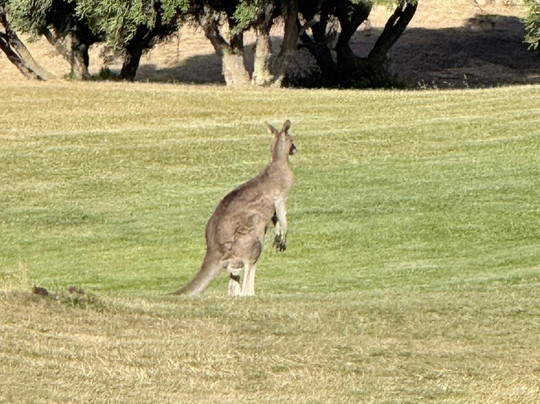 托基沙滩胡椒酒店主图