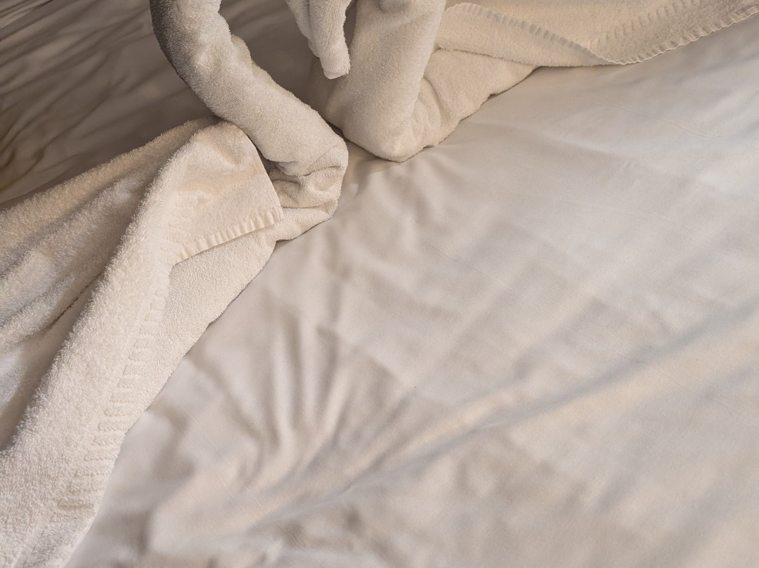 朴次茅斯旅客之家酒店主图