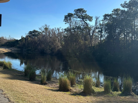 Arthur Hills Golf Course-希尔顿头岛必去景点