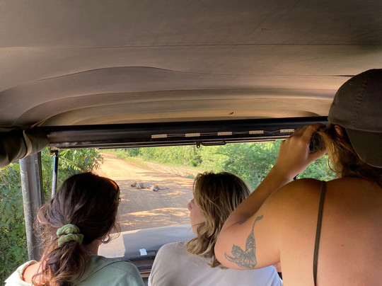 Eddy's Expeditions-加勒必去景点