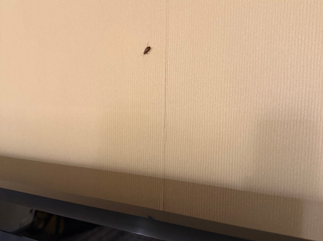 Northern Greens Resort主图