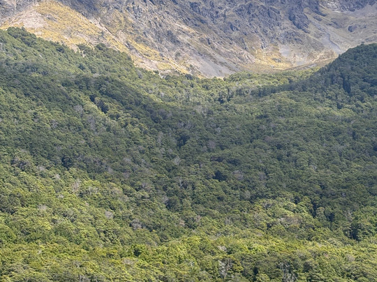 Red Carpet Tours-奥克兰中心地区必去景点