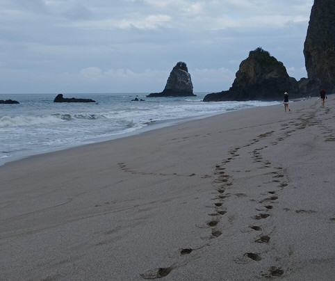 Playa de los Frailes-Machalilla National Park必去景点