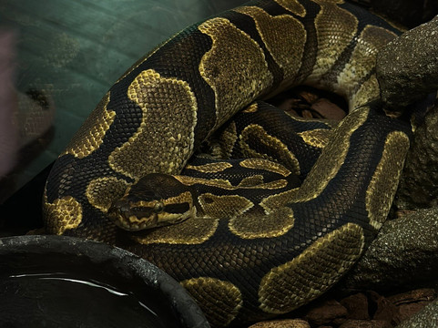 Aquaria Phuket Thailand-普吉镇必去景点