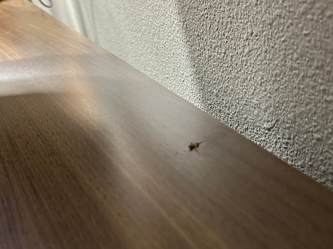 La Quinta Inn & Suites by Wyndham Seattle Federal Way主图