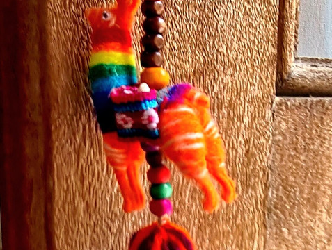 Hosteria Villa Cardon主图