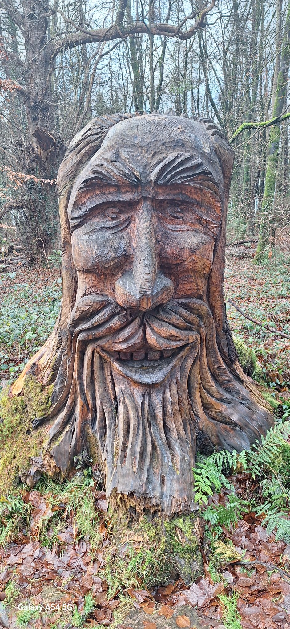 基尼缇城堡酒店-官方