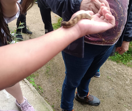 Mariposario DEDALMA-Mera必去景点