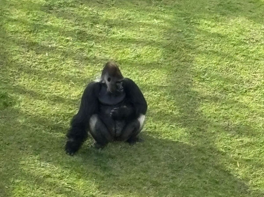 Animália Park-Cotia必去景点