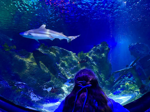 SEA LIFE Loch Lomond Aquarium-Balloch必去景点