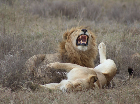 Deixa-te levar tours-桑给巴尔岛必去景点