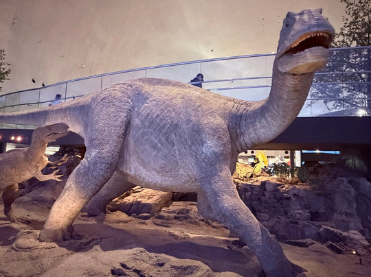 Fukui Prefectural Dinosaur Museum-胜山市必去景点