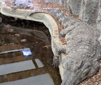 Krokodille Zoo-Eskilstrup必去景点