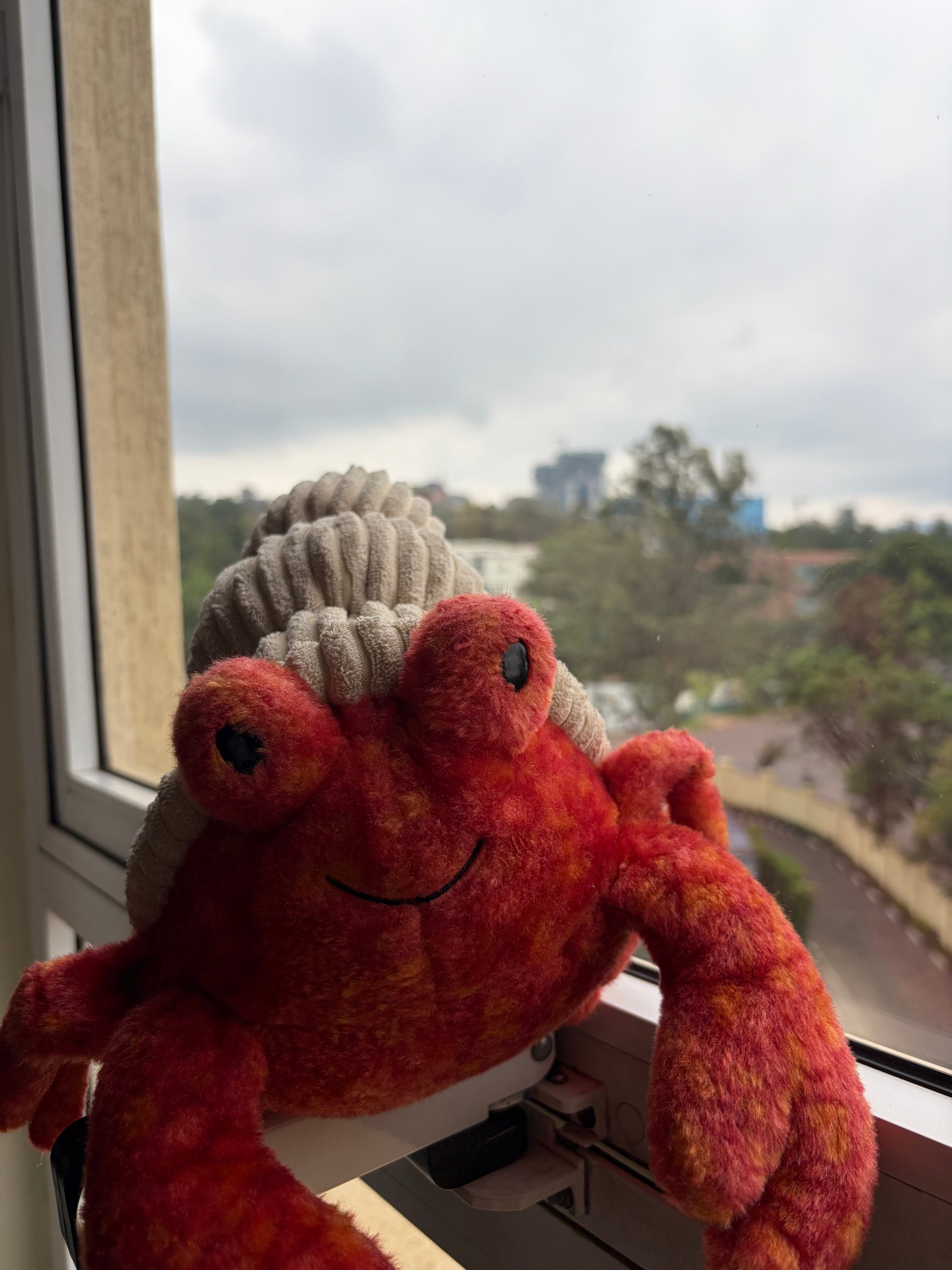 Park Inn by Radisson Kigali-官方