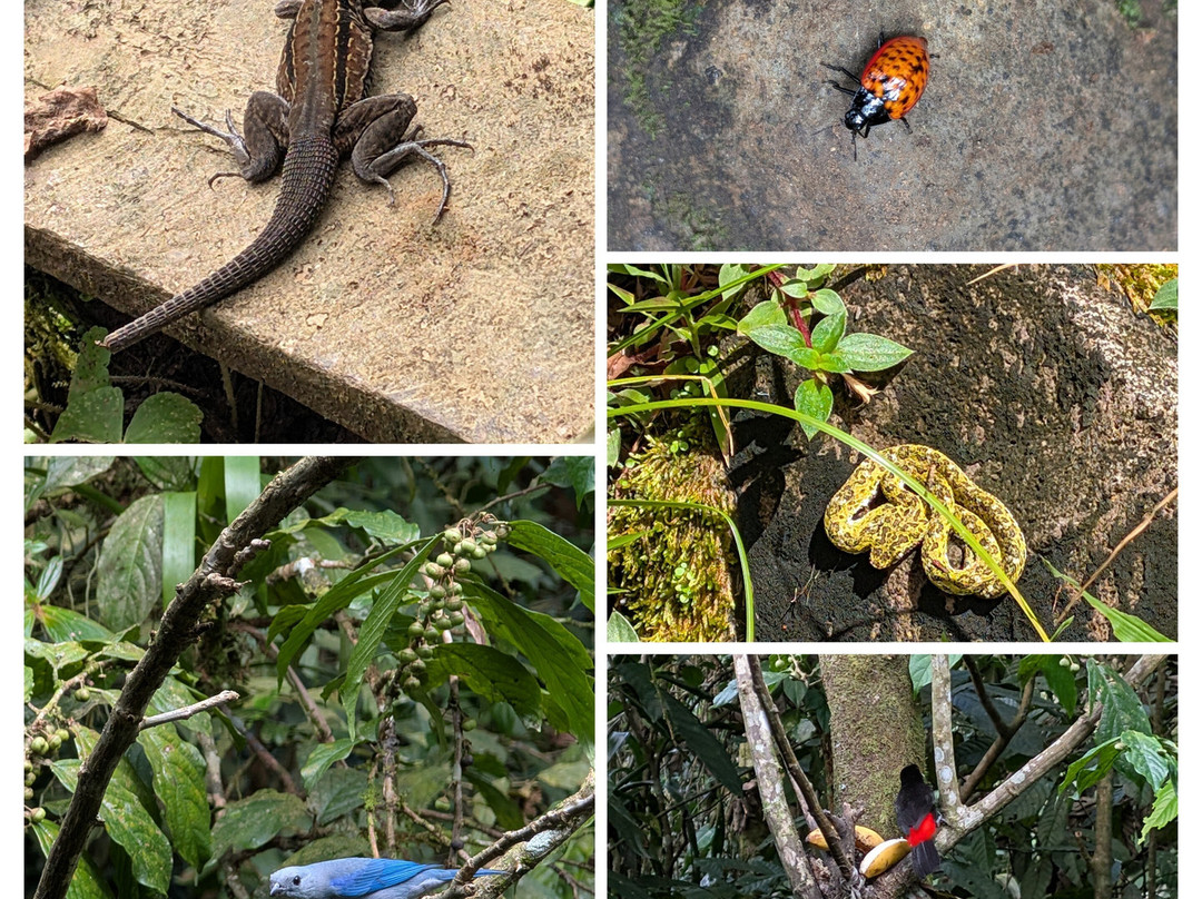 World Evasion-圣何塞必去景点