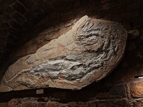 Memory of Time-朱拜勒必去景点