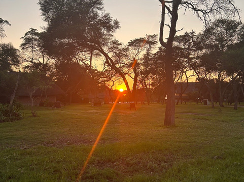 Antelope Park-圭洛必去景点
