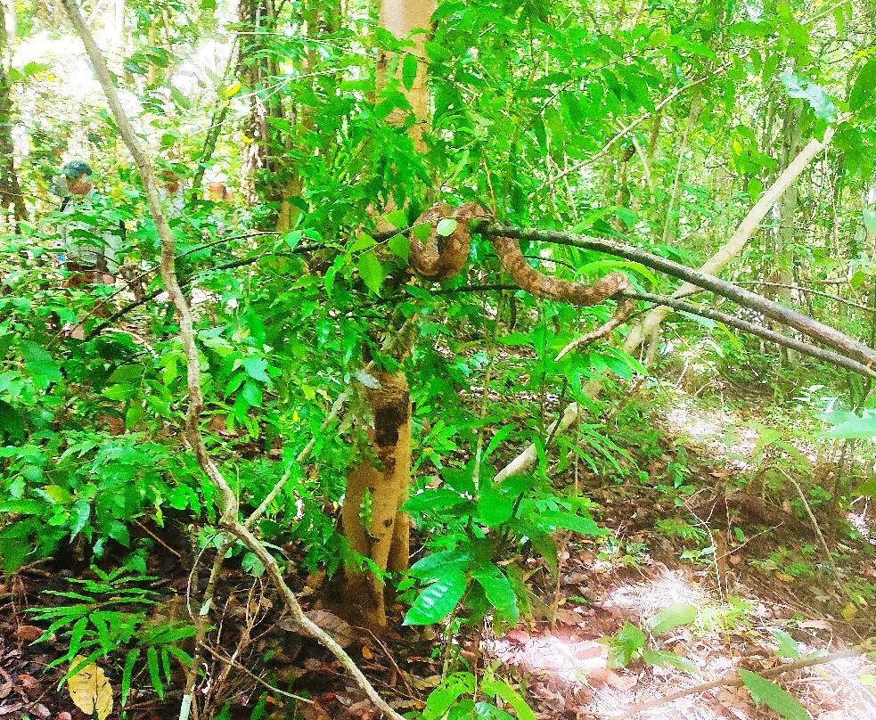 Lokobe Nature Special Reserve-诺西贝必去景点