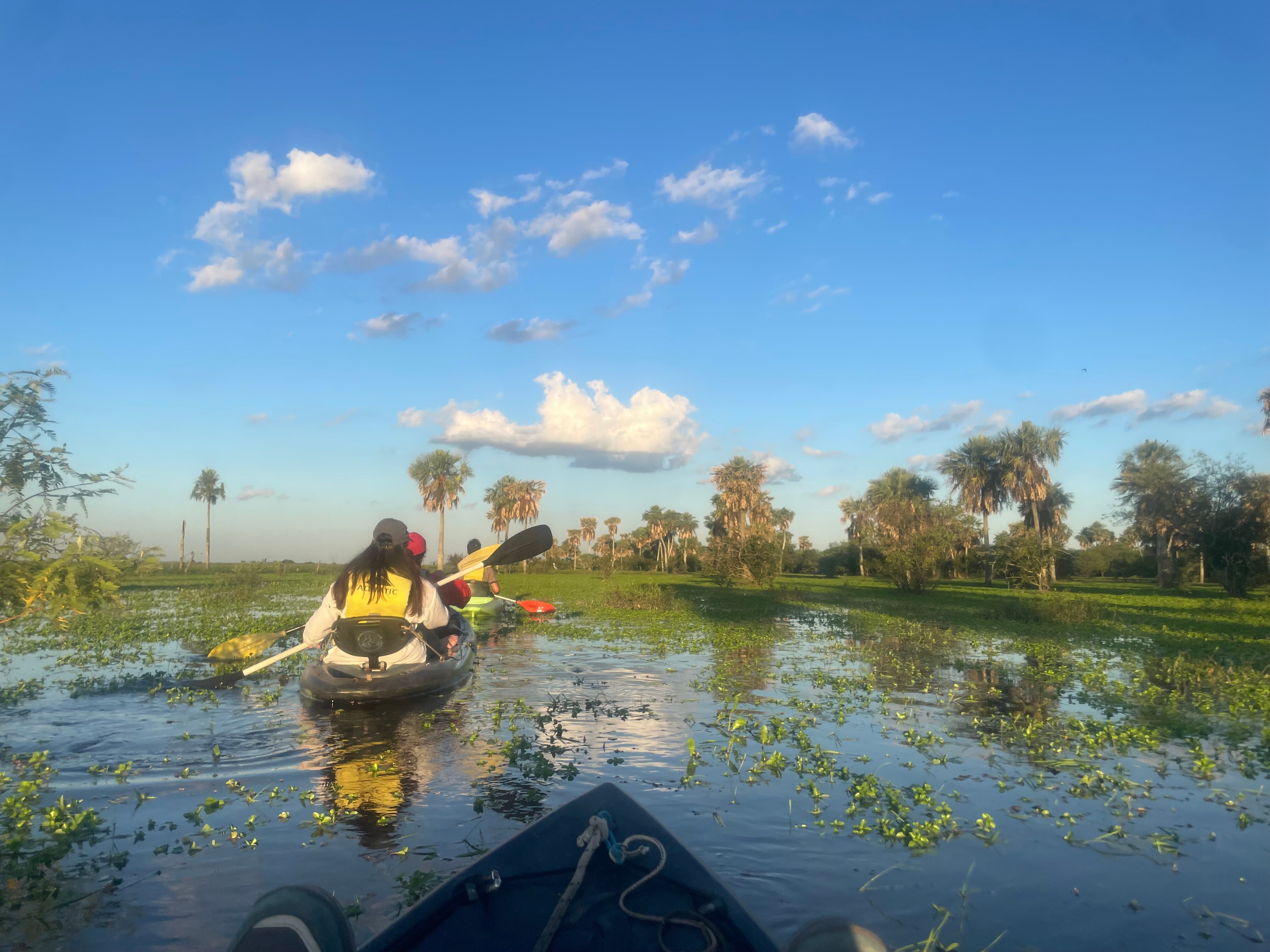 Ecoposada del Estero-官方