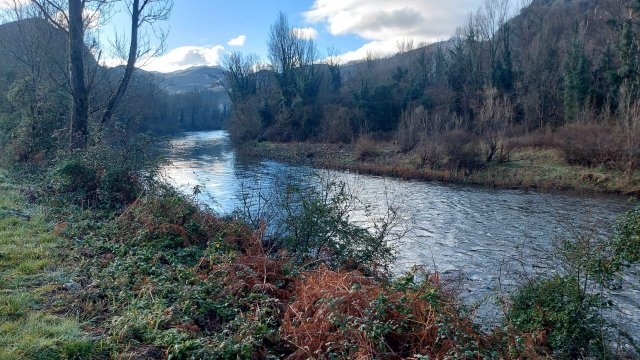 布劳酒店拉斯卡尔达斯，丽笙精选成员-官方