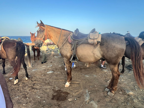 Rancho Loco-Santa Cruz必去景点