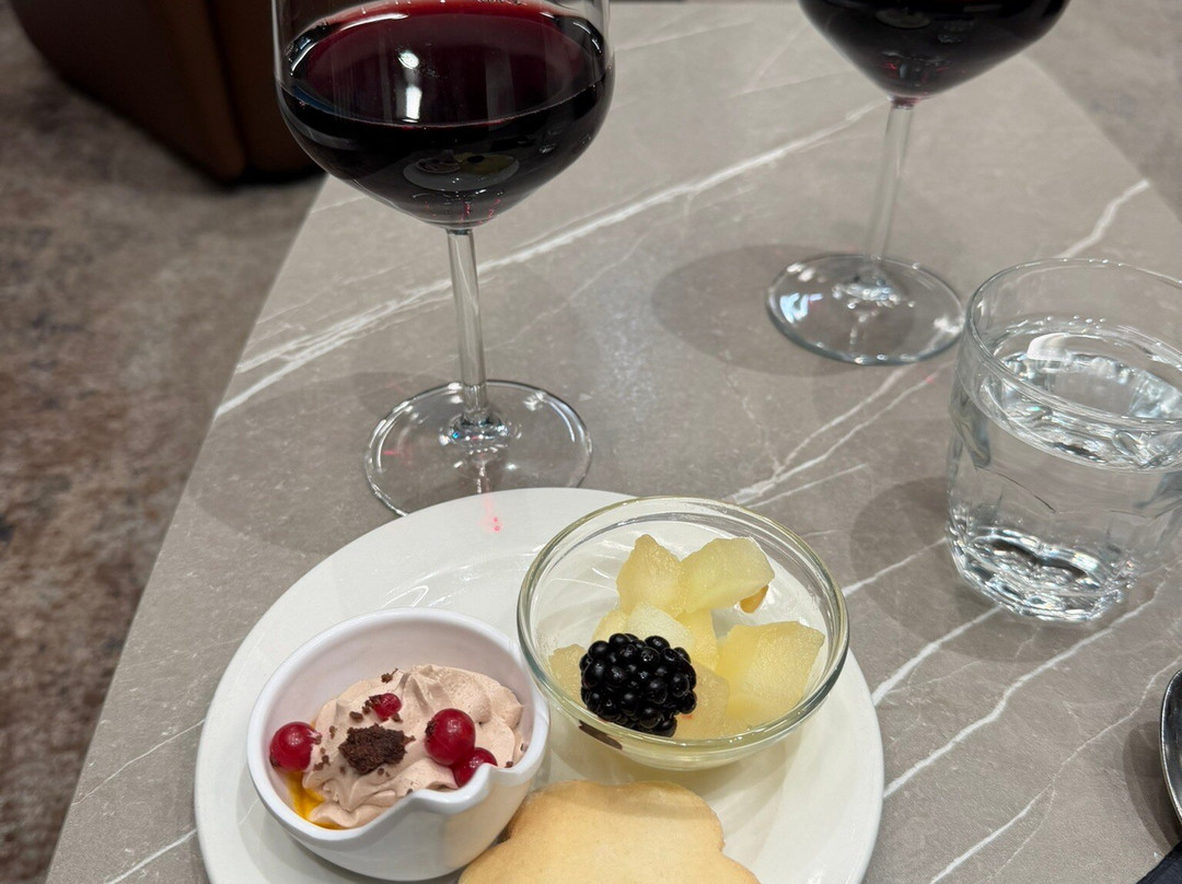 Plaza Premium Lounge (Schengen Area Departures Terminal 1)-菲乌米奇诺必去景点