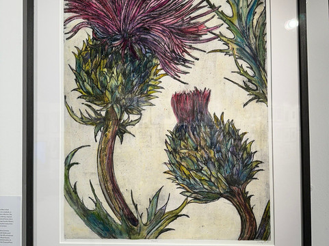 The Rheged Centre-彭里斯必去景点