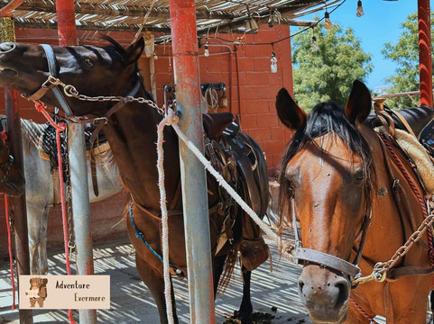 Cuadra San Francisco-洛斯卡布斯必去景点