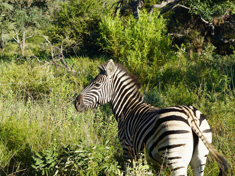 Bridge and Beyond-布莱恩斯顿必去景点