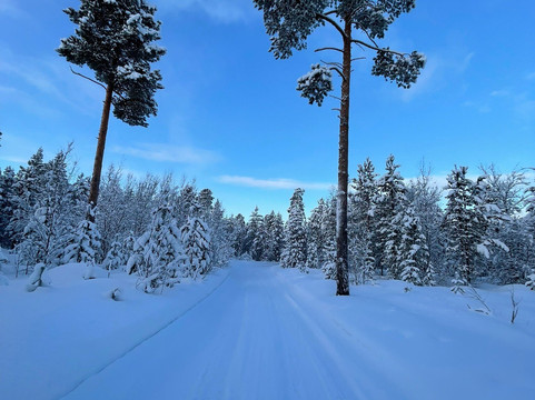 Trasti & Trine AS-阿尔塔必去景点