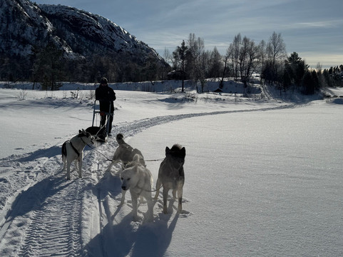 Sirdal Husky Farm-Tonstad必去景点