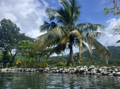 萨贝托泥浆温泉-纳迪市必去景点