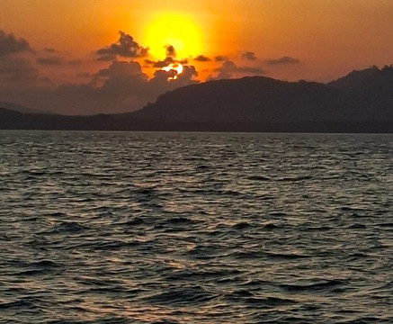 Phuket Seahorse Tours-卡伦必去景点