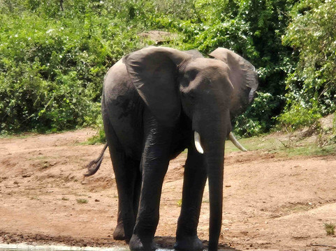 Katona Tours and Travel-吉佳利必去景点