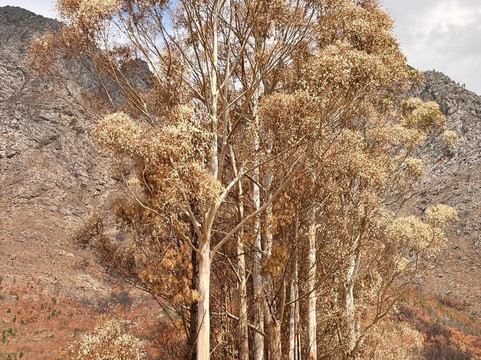 Stony Brook Vineyards-法兰舒克必去景点