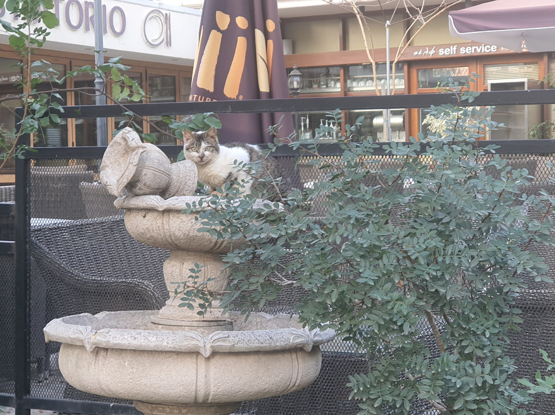 圣尼欧菲托斯修道院-帕福斯必去景点