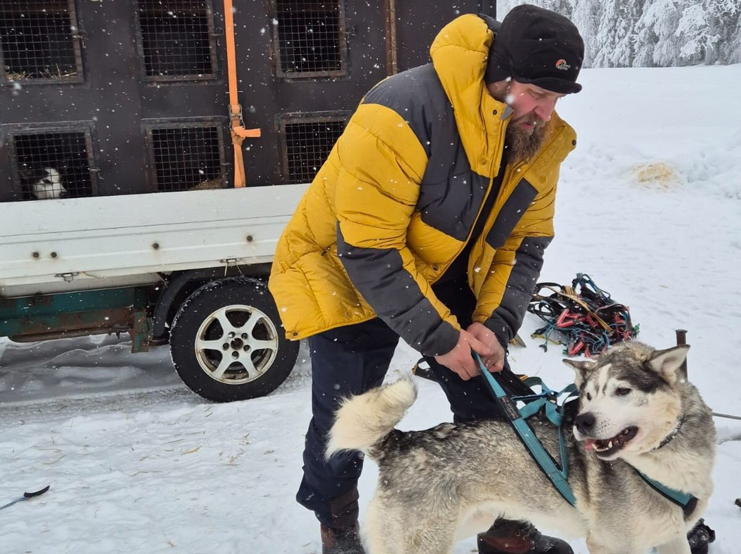 Arthotel Tornedalen主图