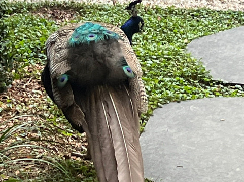 Azabu Day Spa-拜伦湾必去景点