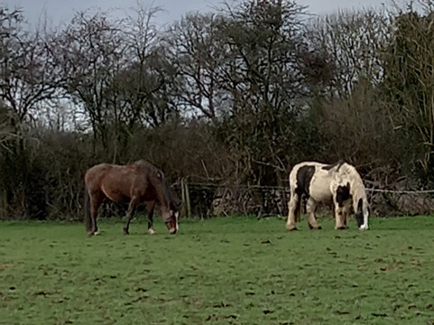 The Clock Tower-艾尔斯伯里必去景点