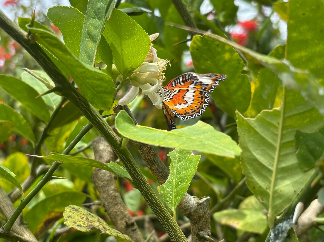 Manfred und Erna Individuelle Touren-沙努尔必去景点