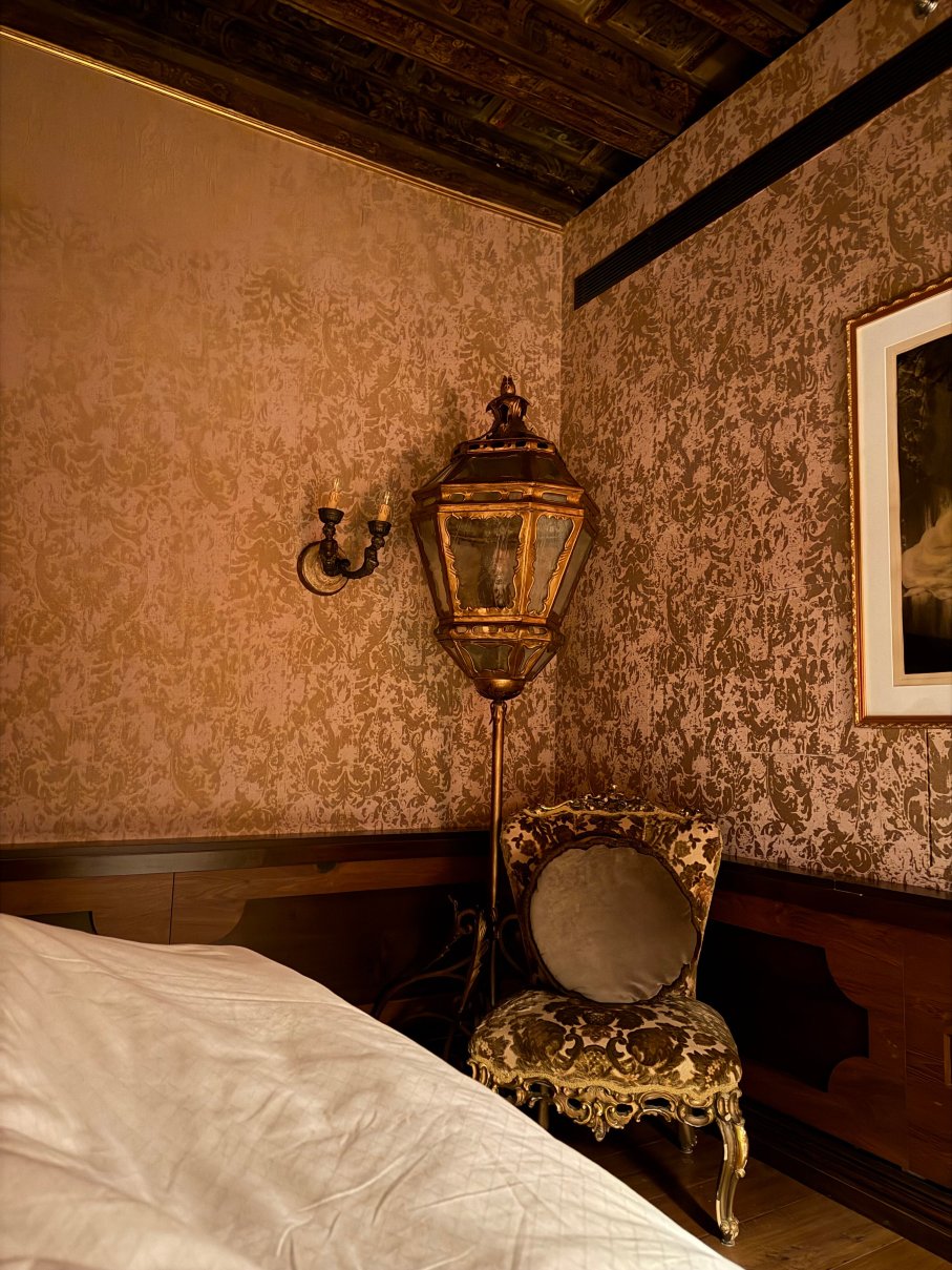 维纳特宫豪华酒店-客卧