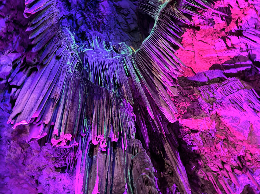 Gibraltar Rock Tours by John Lopez-直布罗陀必去景点