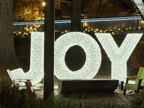 Downtown Cary Park-卡瑞必去景点