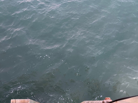 Rikki Tiki Tavern-可可海滩必去景点