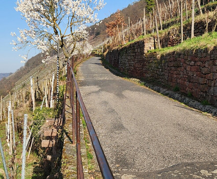 terroir f Churfranken-埃兰巴克必去景点