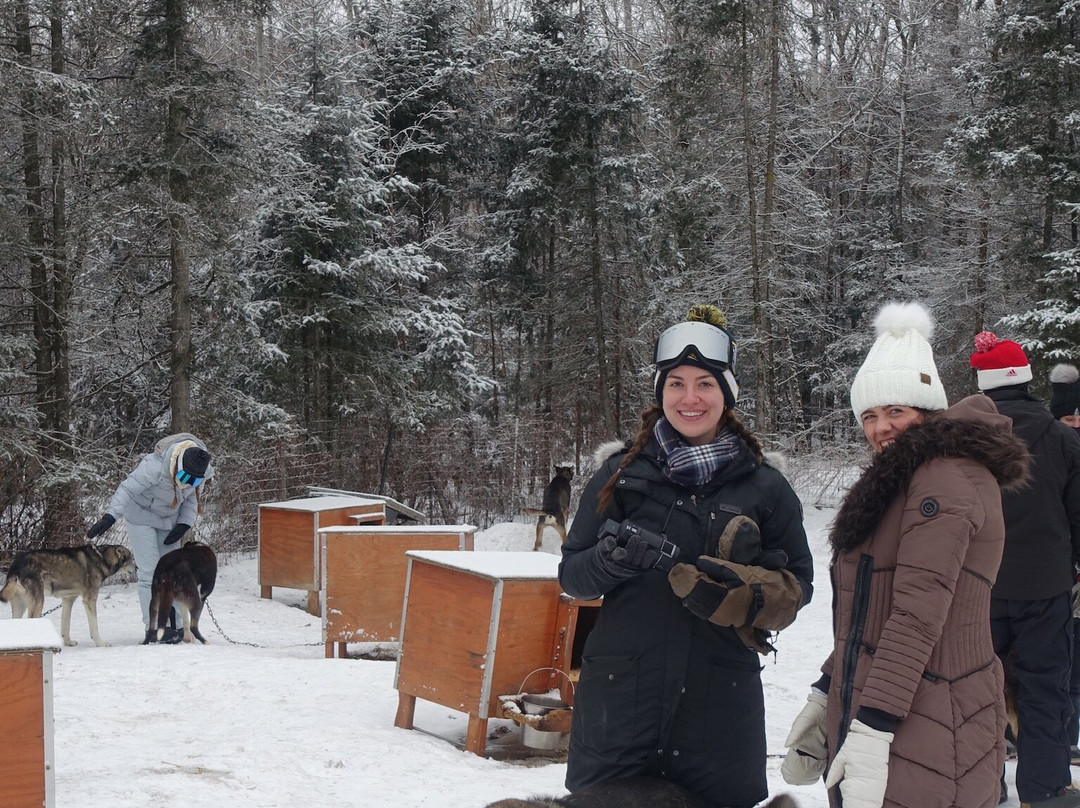 Chilly Dogs Sled Dog Trips-伊利必去景点