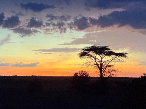 Camili Safaris-内罗毕必去景点